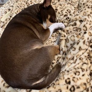 Meet your Posher, Nora